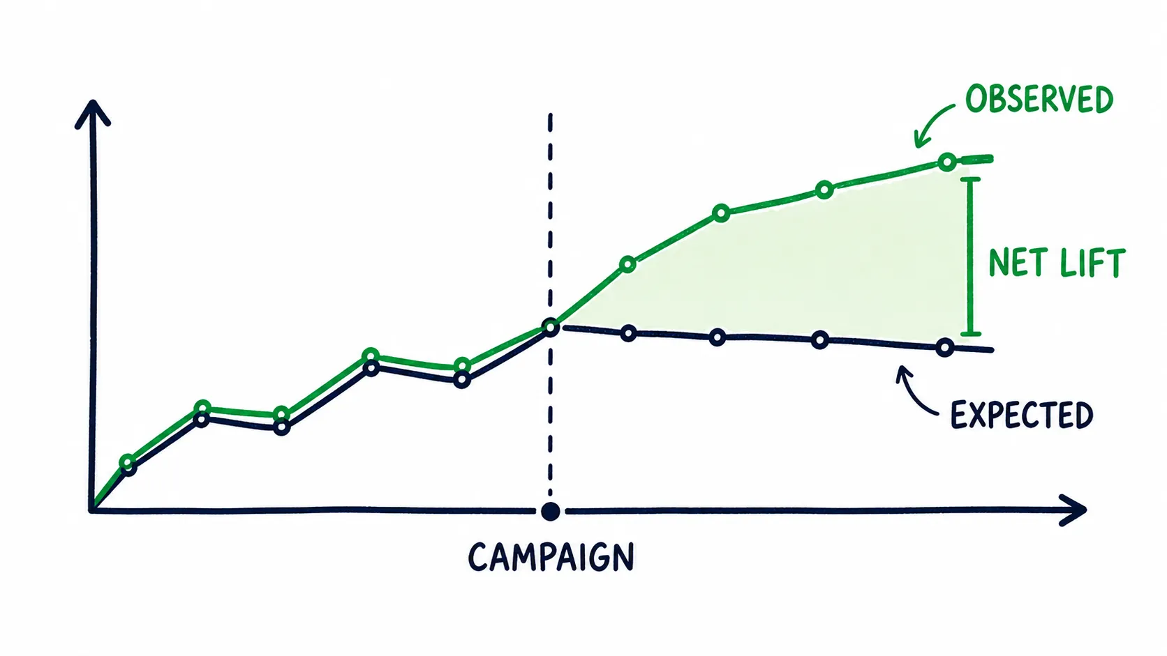 Doodle line chart comparing expected listeners with observed listeners after a campaign, with the green gap marked as net lift.